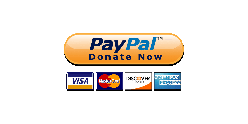 PayPal donation button plugin