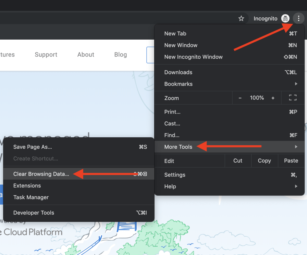 How to clear Cookies in Google Chrome